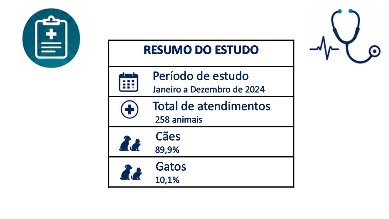 Imagem para capa