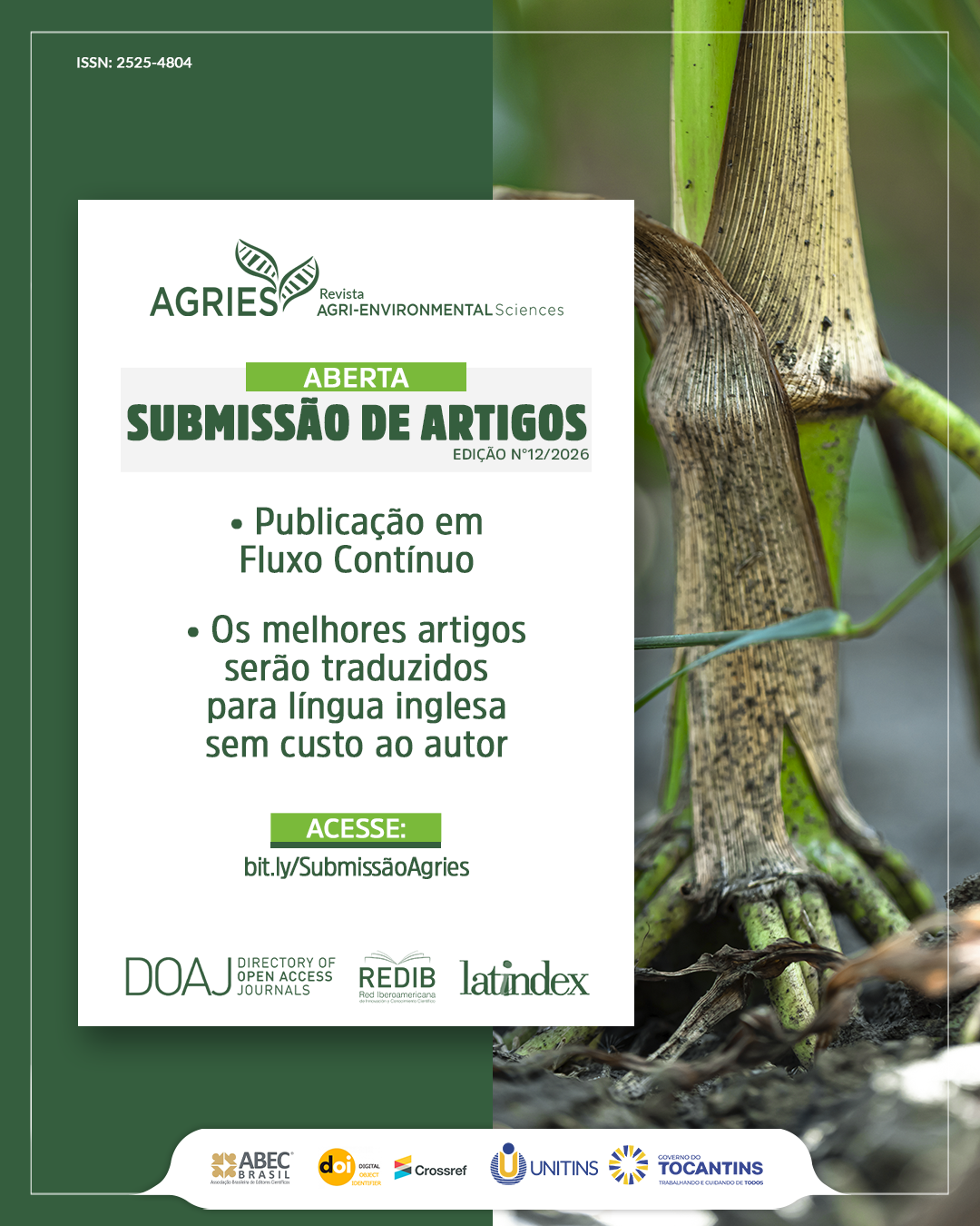 card_chamada_submissao_20261.png